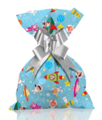 Saquinho-Para-Presente-20x29-Com-50---Space---1199-215