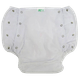 front view