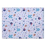 Cobertor-Infantil---Estampado---90cm-X-110m---Bercinho---250050