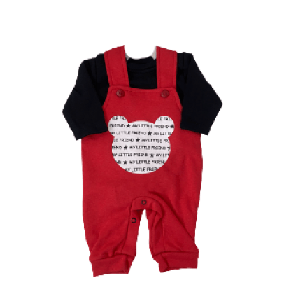 CONJUNTO JARDINEIRA + CAMISETA MANGA LONGA -TAMANHO RN AO G # 3872 - FEROZ BABY