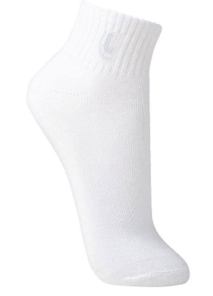 Meia-Sport---37-Ao-48---03223-001