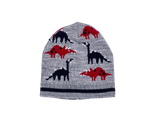 Touca-Acrilica-Dinos---Tamanho-P-Ao-G---8454