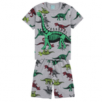 Pijama-Curto--Masculino--Tamanho-4-Ao-8---111030
